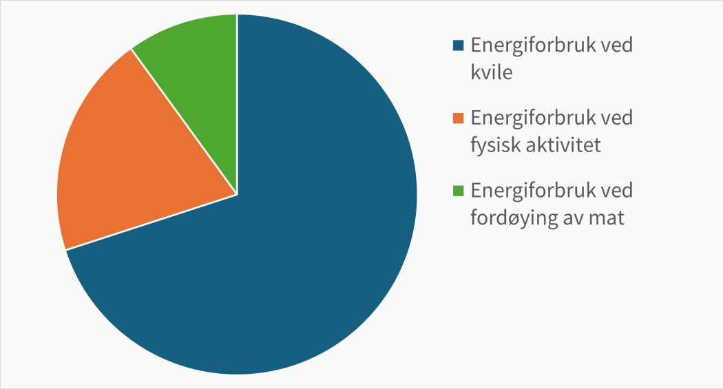 Diagrammet viser en omtrentlig fordeling av kroppens energiforbruk. Størst del er hvile, deretter fysisk aktivitet og så fordøying av mat.